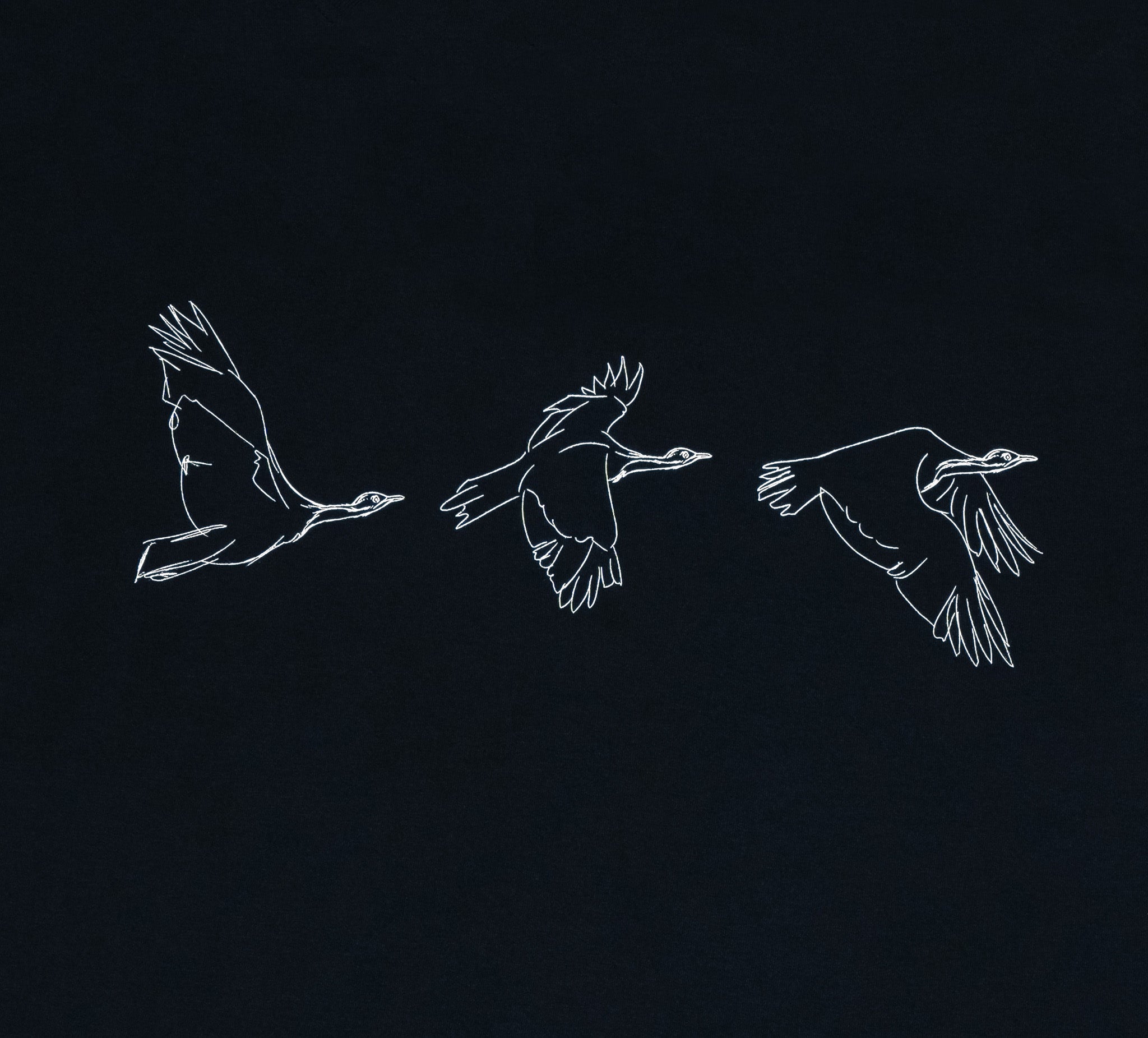 Houbara in Flight Black T-shirt - featuring a حبارى (houbara bustard)  designed by Khalid Al Astad 