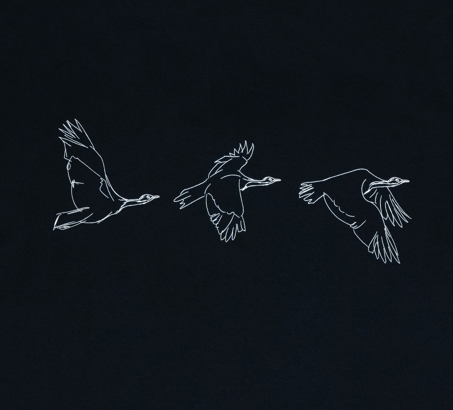 Houbara in Flight Black T-shirt - featuring a حبارى (houbara bustard)  designed by Khalid Al Astad 