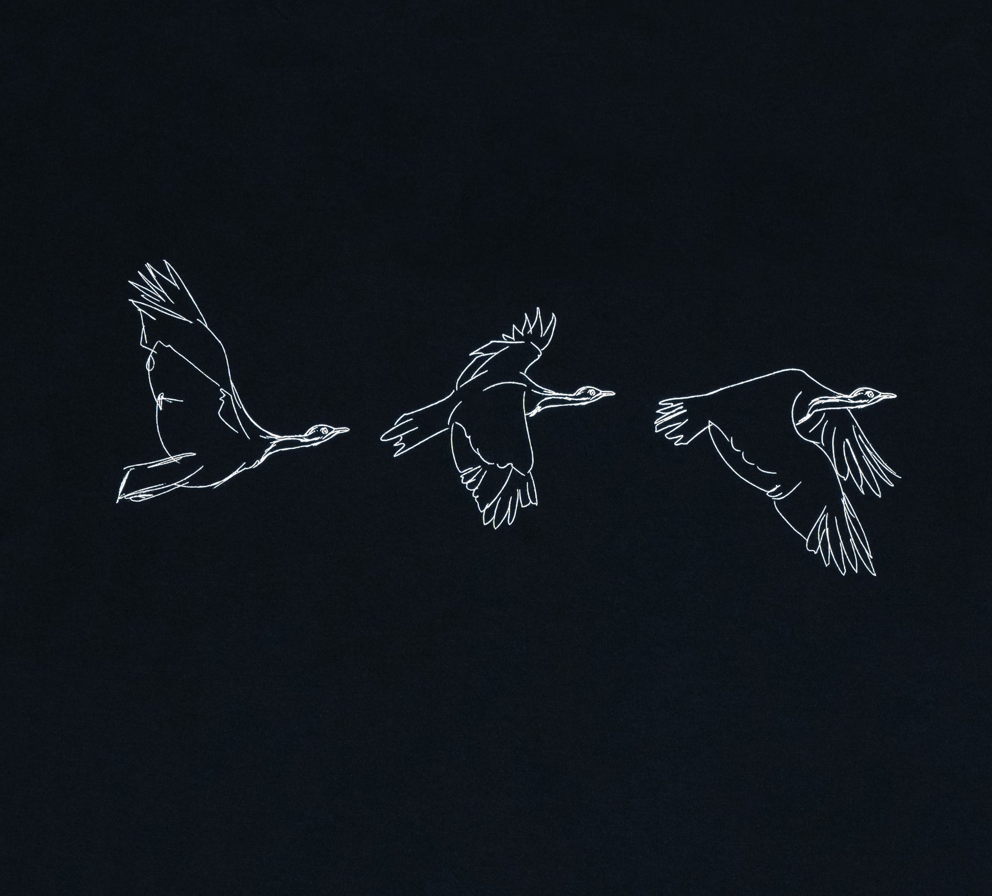 Houbara in Flight Black T-shirt - featuring a حبارى (houbara bustard)  designed by Khalid Al Astad 