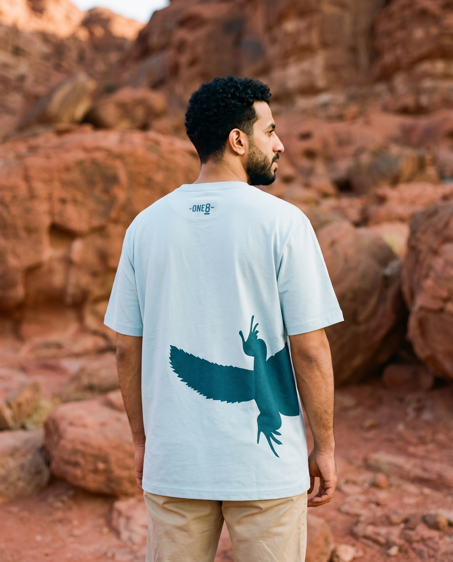 Uromastyx Dhab tee back tail print worn by male model in red rocky desert